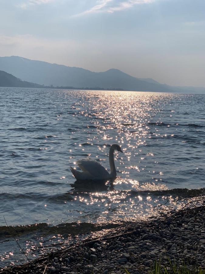 Strandhotel Schmerikon Bagian luar foto
