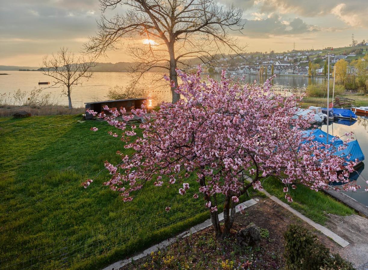 Strandhotel Schmerikon Bagian luar foto